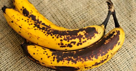 Najgorszy sposób na przechowywanie bananów. Dlatego szybko czernieją