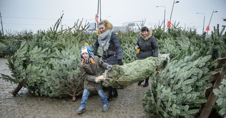 Zgoda ponad podziałami. Polacy zabrali głos ws. pomysłu Lewicy