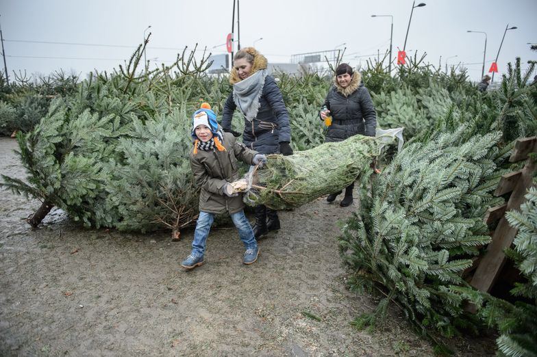 Zgoda ponad podziałami. Polacy zabrali głos ws. pomysłu Lewicy