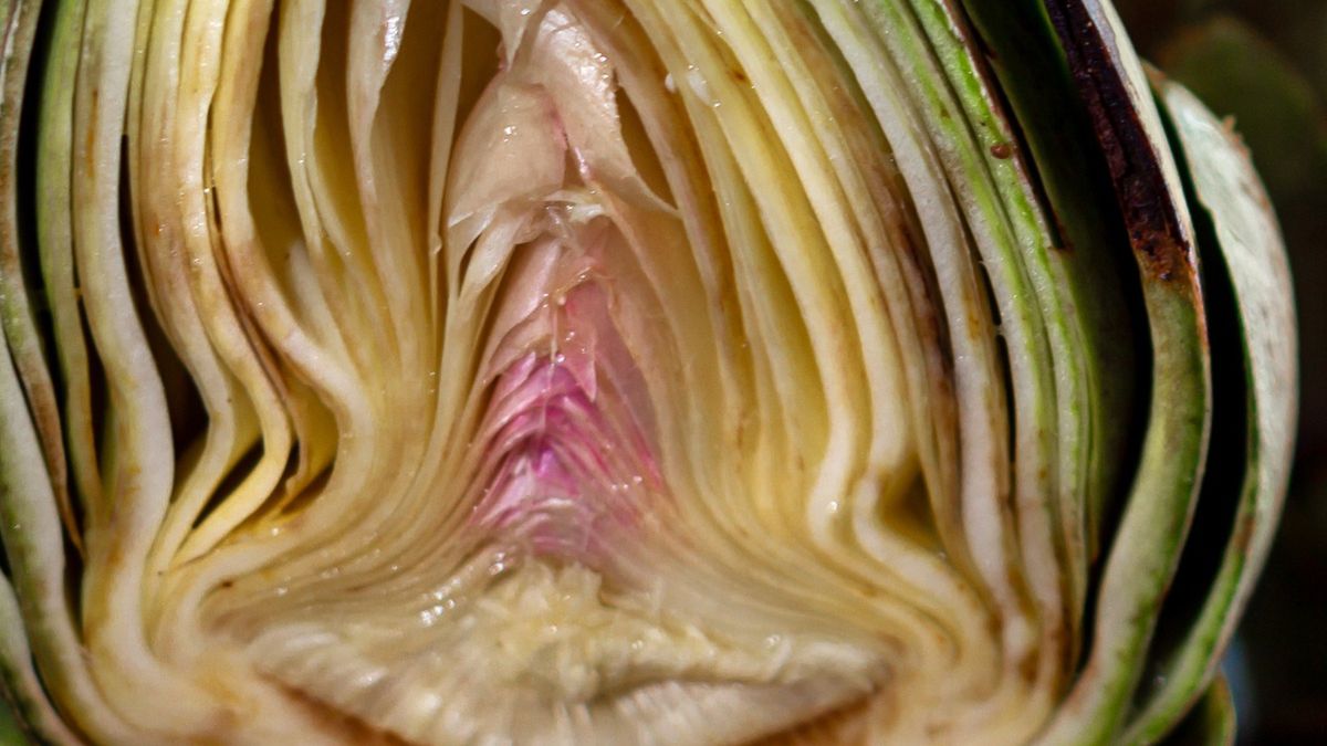 Karczoch przekrojony na pół