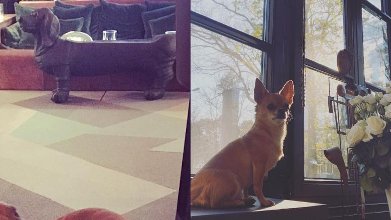  Zobaczcie jak mieszka Agnieszka Woźniak-Starak! 