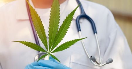 Czy medyczna marihuana działa na bezsenność? Sprawdzamy!
