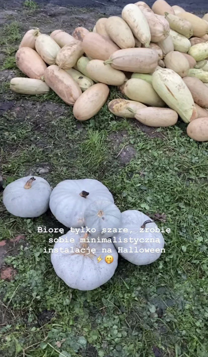 Jessica Mercedes chce mieć dynie jak Kim Kardashian