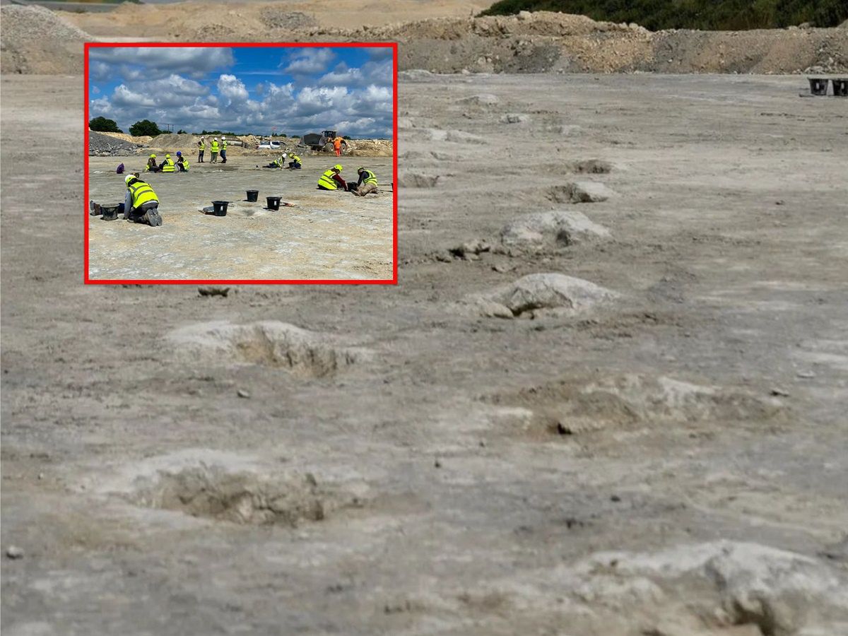 Dinosaur footprints reveal ancient giants in UK quarry find