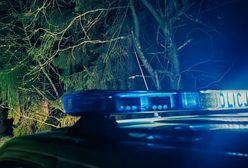 Zostawił Niemkę nocą w lesie. Interweniowała policja