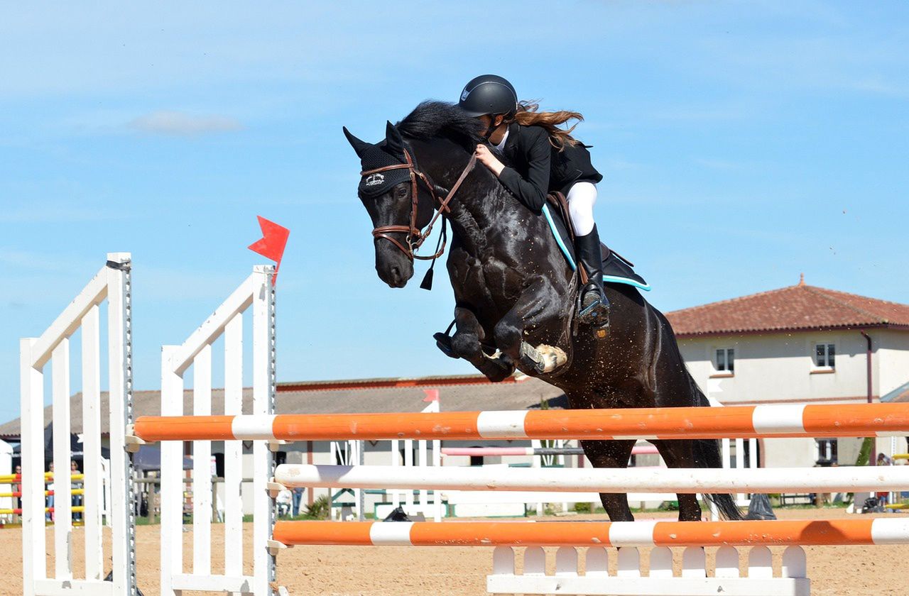 German billionaire Ursula Bechtolsheimer, mother of Olympic gold medallist Laura Tomlinson, will appear in court over a serious accident at her stables.