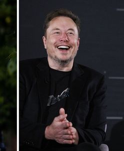 Syn Bidena zrugał Elona Muska. "Najgłupsza inteligentna osoba na świecie"