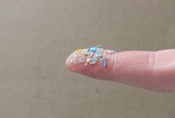 Niepokojące odkrycie naukowców. W ludzkiej krwi znajdują się drobiny mikroplastiku