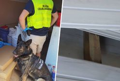 Weszli do sklepu pod Poznaniem. Odkrycie w ścianie pogrążyło właściciela