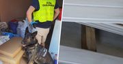 Weszli do sklepu pod Poznaniem. Odkrycie w ścianie pogrążyło właściciela