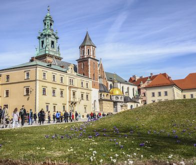 Nieznane fakty o Krakowie. Sprawdź swoją wiedzę