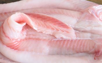 Nie chłonie rtęci i zbija cholesterol. Kup zamiast dorsza