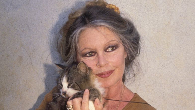 Brigitte Bardot przekazała majątek na fundację 