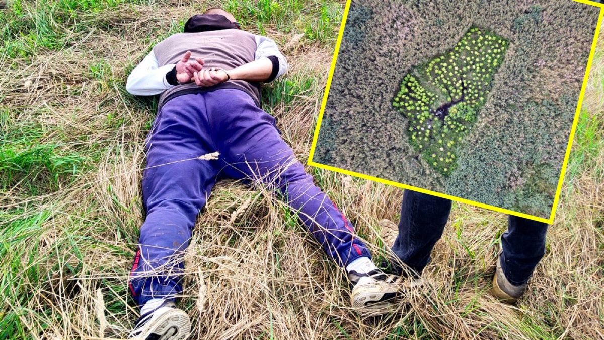 Policja aresztowała właścicieli plantacji marihuany 