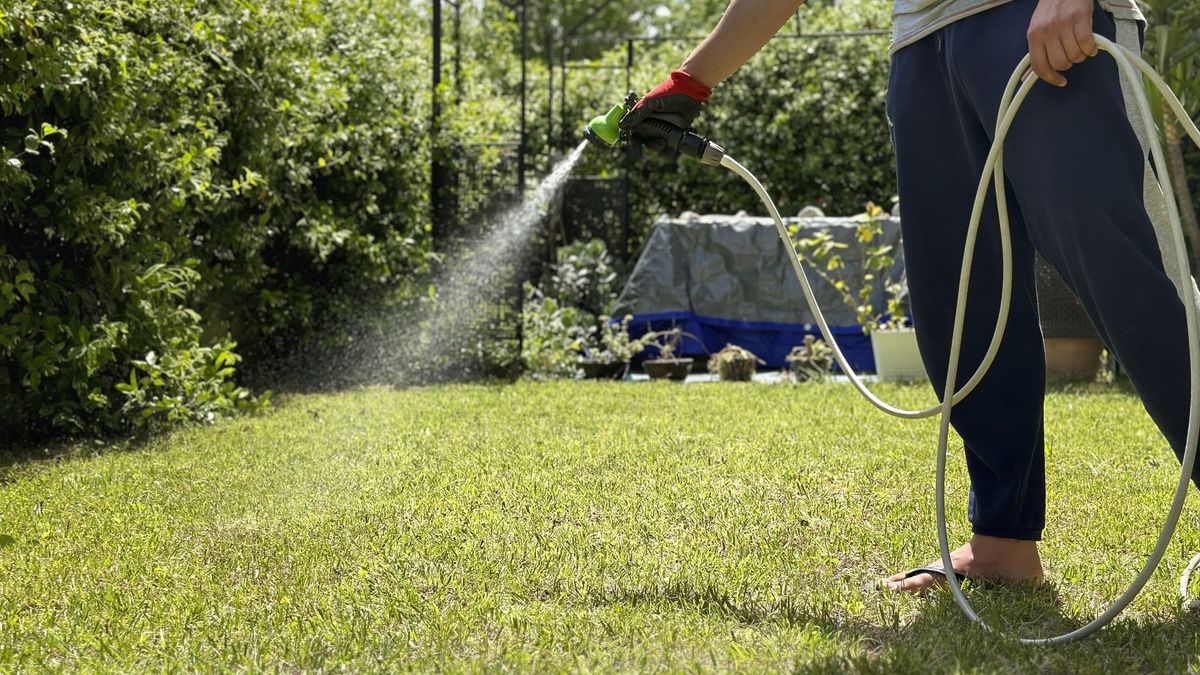 Young man gardening
Man watering his garden with a hose in a sunny day.
Nico De Pasquale Photography