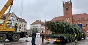 Szczecinek: Wielka choinka już na placu Wolności. Święta coraz bliżej
