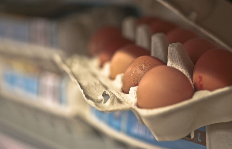 Ekotrolle walczą z restauracjami