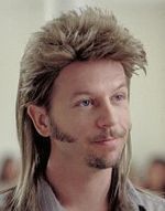 "Joe Dirt" powraca