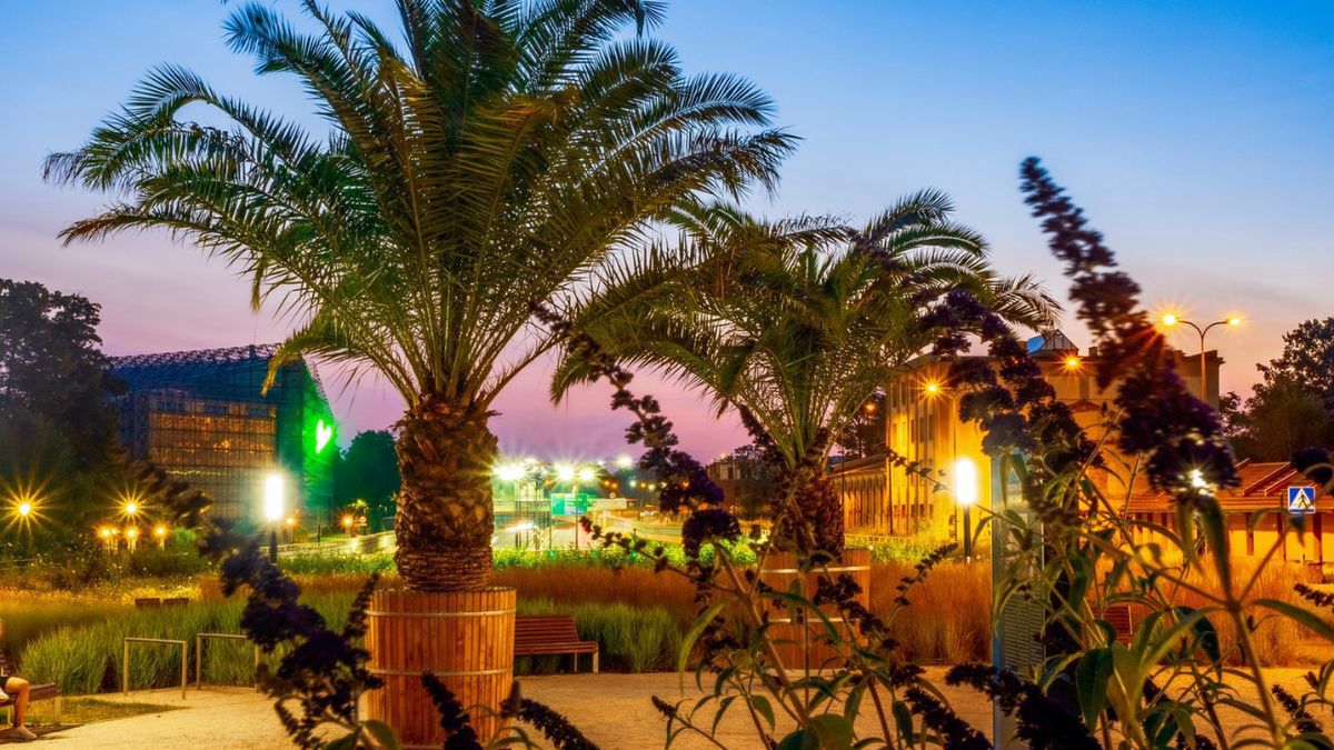 Czy to Las Vegas? Takie widoki na Śląsku