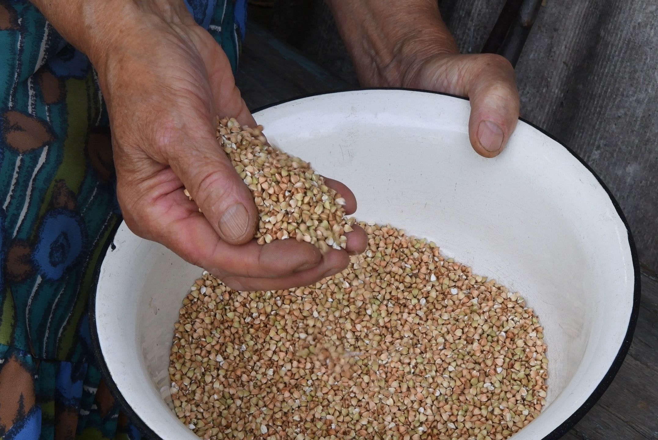 Handful of buckwheat groats close up
Wrinkled hands of 80 year granny spill raw buckwheat groats into old rustic bowl. Authentic scene of everyday life in village
Ninel Roshchina
groats