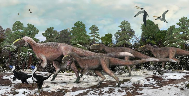 Dinozaury jeszcze nigdy nie były tak blisko. DINO EXPERIENCE: rodzinna podróż do świata sprzed milionów lat