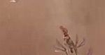 ''John Carter'' i zadyma na Marsie we fragmencie filmu [wideo]