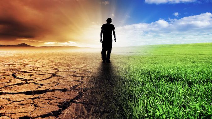 Każda katastrofa nas dotyczy. Na Facebooku śmierć jest blisko nas. Za blisko? 1