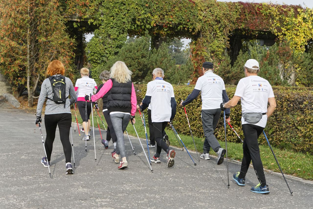 Nordic walking, zdjęcie ilustracyjne 