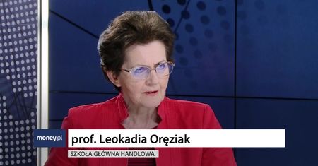 Pracownicze Plany Kapitałowe. "Ustawa umożliwia wyprowadzenie gigantycznych pieniędzy"