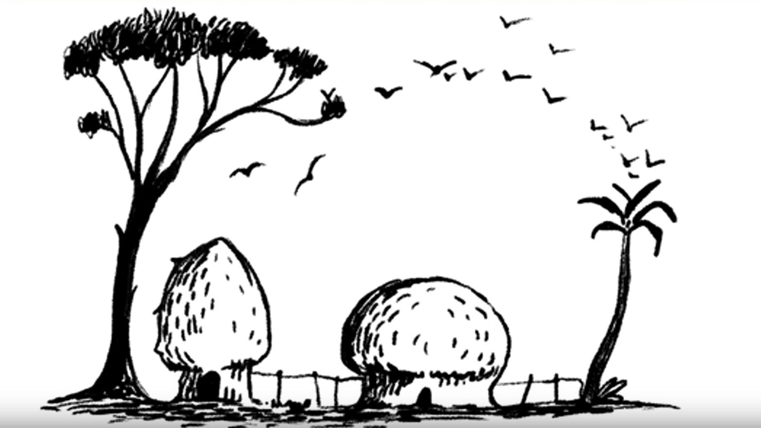 Co widzisz jako pierwsze?