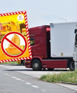 Te melony miały trafić do sprzedaży w Polsce. Odrażające odkrycie