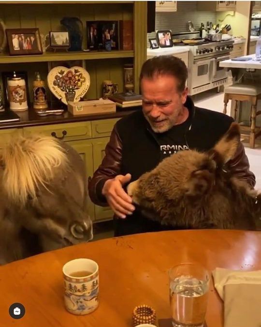 Arnold Schwarzenegger