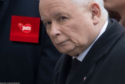 PiS i TV Puls? Prezes stacji komentuje plotki o zakusach partii