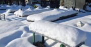 Stalowa Wola: Cmentarz w zimowy wystroju to niezwykły widok. Zobacz zdjęcia