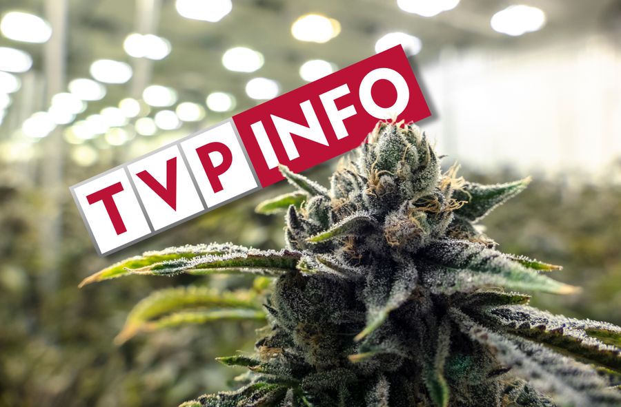 Marihuana w TVP Info