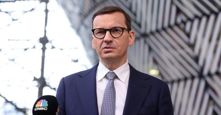 Polityk PO reaguje na apel premiera: "To jest schizofrenia"