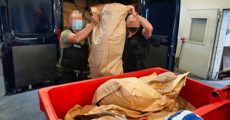 Bydgoszcz. Z dymem poszło ponad 280 kg narkotyków