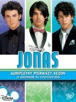 Złote Maliny dla Transformers i Jonas Brothers