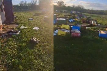 Wandale zniszczyli pasiekę pod Tarnobrzegiem. Szukają świadków