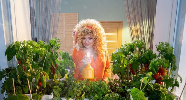 Gessler, Różczka, Pazura, Boczarska i Wojewódzki w spocie wiosennej ramówki TVN (wideo)