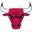 Chicago Bulls