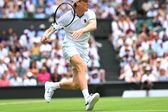 Tenis: Turniej Wimbledon - mecz finałowy gry pojedynczej mężczyzn