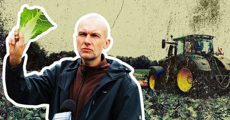 Rozjechał traktorem 25 tys. kalafiorów. Padło ostrzeżenie dla konsumentów