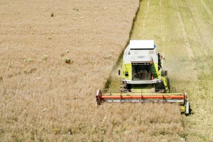 ANR: rolnicy chętnie kupują państwowe grunty