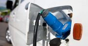 Samochody elektryczne, które mogą pojawić się na naszych drogach [TOP 20]
