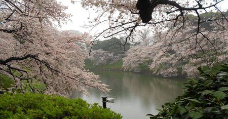 Kraj kwitnącej wiśni, tradycji i technologii. Japonia znana i nieznana