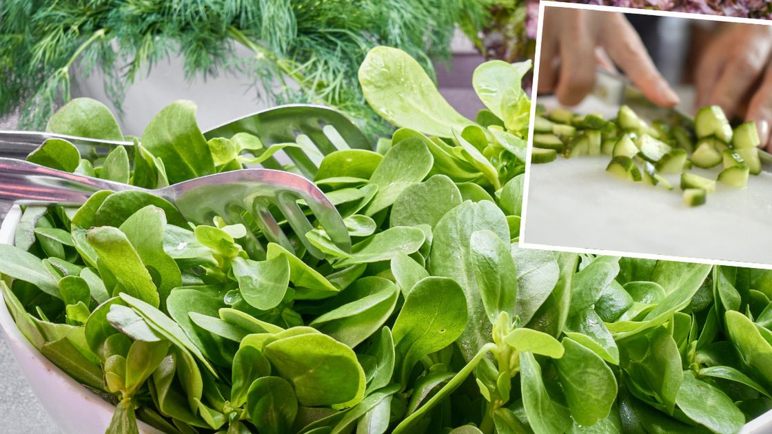 Sałatka zielona bogini