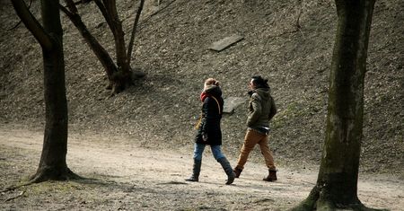 Suwalszczyzna: Zamiast zimy kwitną kaczeńce