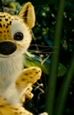 ''Na tropie Marsupilami'': Tylko u nas! Film, który rozbawił prezydenta [wideo]