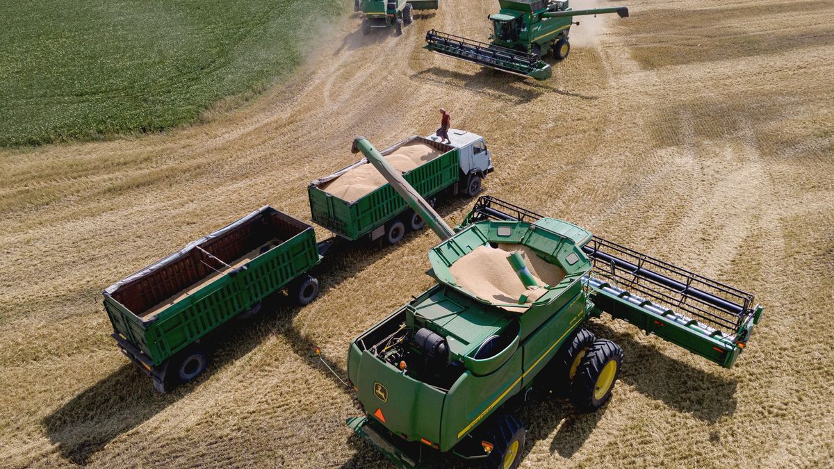 Żniwa w Ukrainie, sierpień 2022 roku